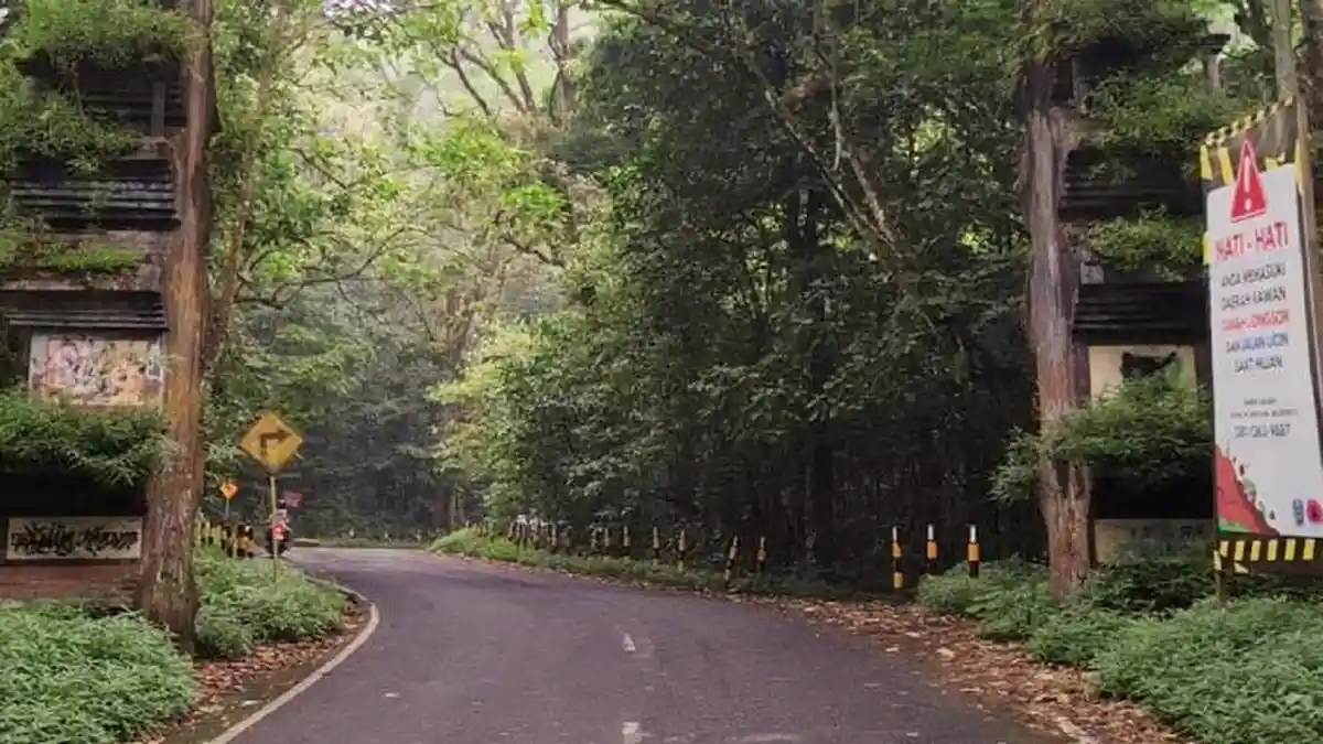 Bayar Rp2 Juta Per Hari: Drone di Tahura R Soerjo dan Jembatan Cangar Dilarang, Wajib Izin