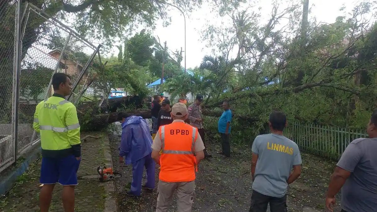 BPBD Sabang Imbau Warga Waspada Cuaca Ekstrem, Hati-Hati Melintas di Bawah Pohon Besar