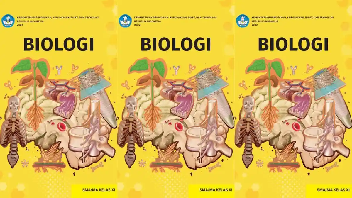 Kunci Jawaban Biologi Kelas 11 Halaman 48 49 50 51, Kurikulum Merdeka: Perpindahan Molekul