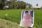 Petani Ini Percaya Kalau Letakkan Poster Bintang Panas Bikin Tanaman di Sawah Bisa Panen Besar!