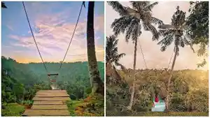 kolase-tempat-wisata-ekstrem-zen-hideaway-swing-di-ubud-bali.jpg