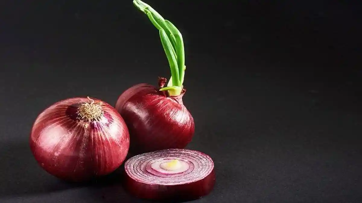 WASPADA, Arti Mimpi Tentang Bawang Merah, Pertanda Bahwa Diri Kalian Akan Mengalami Masalah