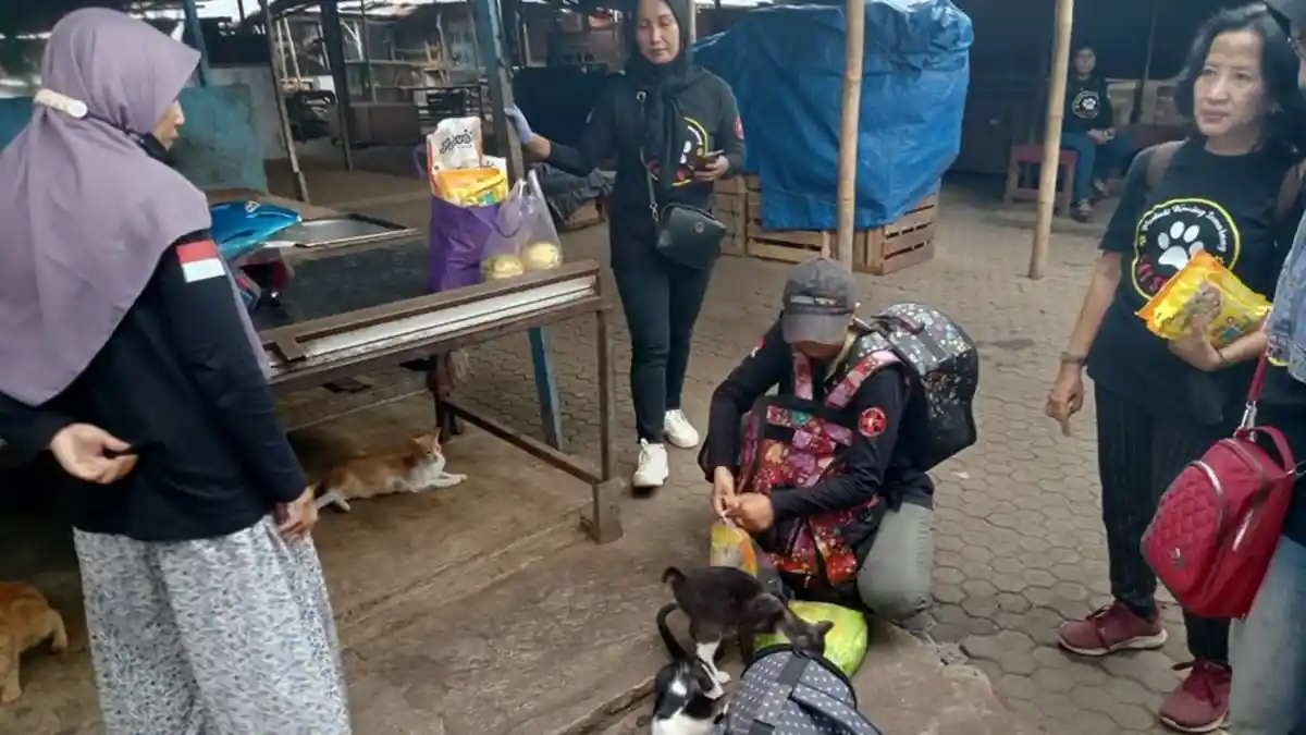 Cara Unik Cat Squad Semarang Mengisi Ramadan, Berbagi Pakan Kucing Jalanan di Pasar Karangayu