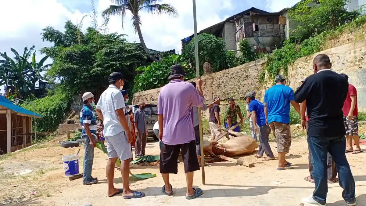 Idul Adha saat PPKM Darurat Batam, Warga Kaveling Bukit Makmur Lihat Kurban dari Jauh