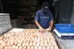 Harga Telur Meroket di Pasaran Jelang Pergantian Tahun