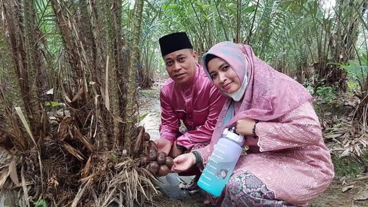 Destinasi Wisata Baru Kepri, Bupati Serukan Petik Salak Jadi Objek Wisata Baru
