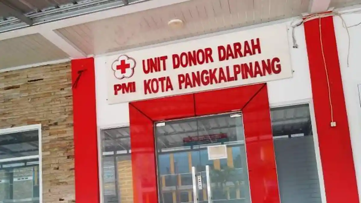 Stok Darah di PMI Kota Pangkalpinang Menipis, Tersisa 4 Kantong
