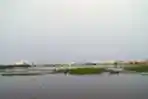 Tanaman Eceng Gondok Tumbuh Liar di Waduk Pluit Penjaringan