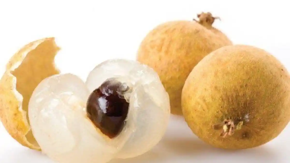 Tak Disangka Guys, Ternyata Ada 11 Manfaat Buah Lengkeng Bagi Kesehatan Tubuh