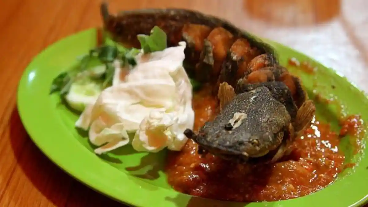 5 Arti Mimpi Makan Lele Goreng, Bakal Dapat Rezeki dalam Waktu Dekat