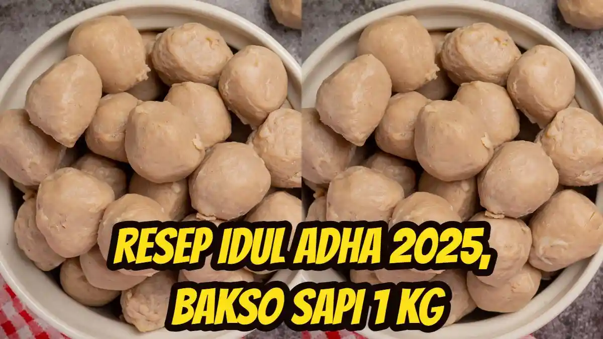 Idul Adha 2025, Ini Resep Bakso Sapi 1 Kg yang Bisa Disimpan Lama, Rasanya Gurih & Tekstur Kenyal