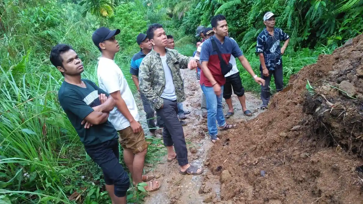 Tanah Longsor Tutupi Jalan Sepanjang 15 Meter, Desa Muara Pangi, Merangin, Terancam Terisolir