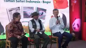 TSI-bayi-pandaa.jpg