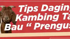 kambing_20180822_060423.jpg