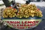 Driver Ojek Online Hendra Alih Profesi Jualan Jeruk Lemon 