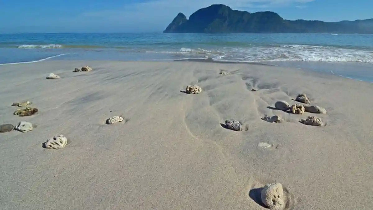 Sunyi dan Tersembunyi, Yoyo Sekongkang Jadi Lokasi Surfing Terbaik di Sumbawa