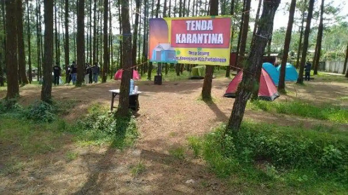 Seperti Camping, Pemudik Purbalingga Dikarantina di Tengah Hutan Pinus