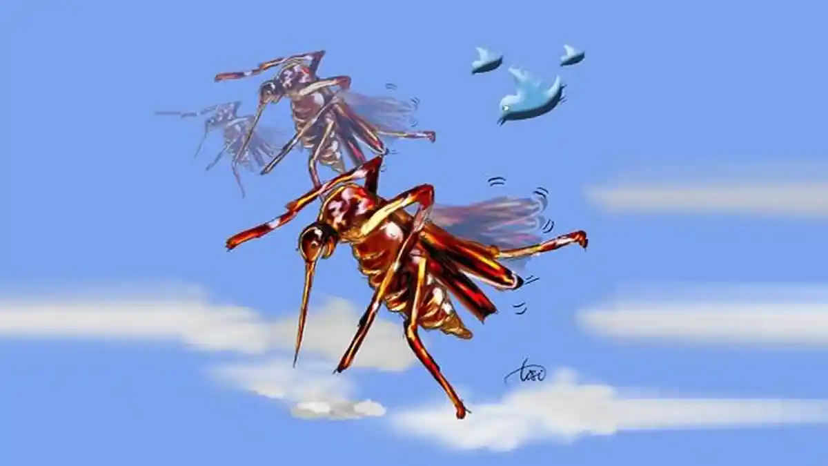 Januari 2021, Terjadi 23 Kasus Deman Beradarah Dengue, Kota Ende Wilayah Rawan, INFO