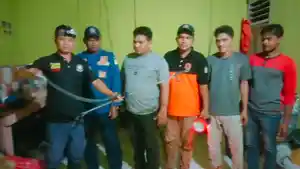 Perlihatkan-Ular-Kobra.jpg