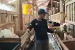 Daya Beli Melemah, Penjualan Kambing Kurban di Lamongan Turun Drastis Jelang Idul Adha
