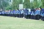 PPPK-Kota-Palu-seleksi-2023.jpg