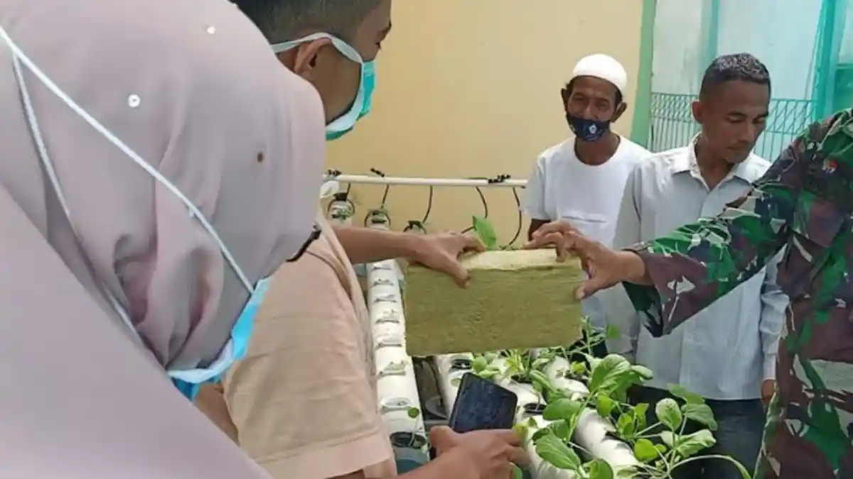 Satgas TMMD 110 Kodim 0107/Asel Beri Pelatihan Budidaya Tanaman Hidroponik untuk Warga