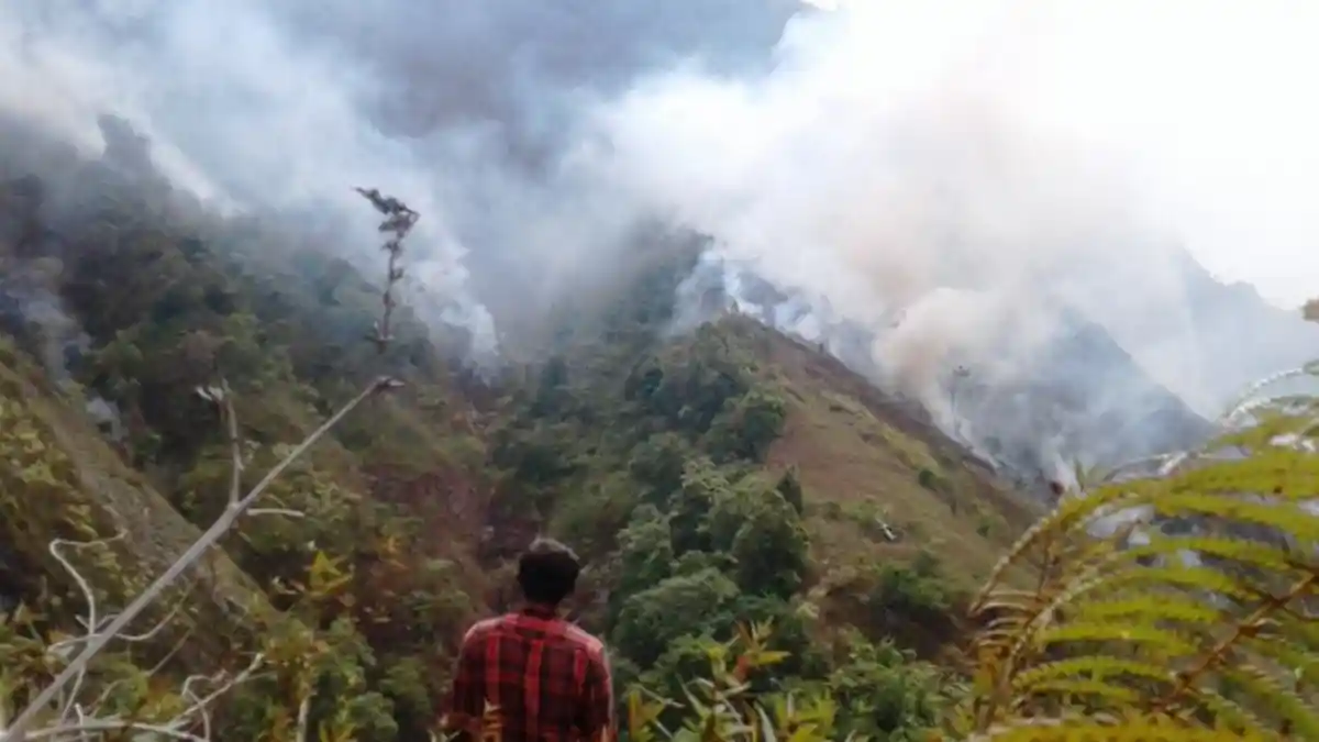 Lereng Gunung Muria Kudus Terbakar,  Petugas Fokus Agar Api Tak Merembet ke Ladang Warga