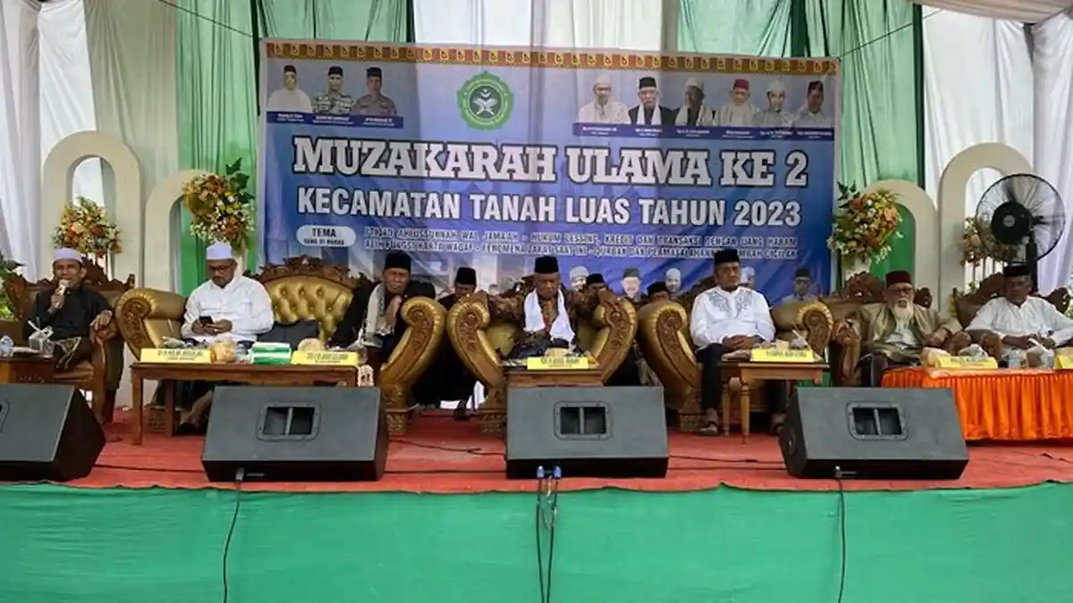 Catat! Sapi Bali tak Disarankan Jadi Hewan Kurban, Hasil Rekomendasi Muzakarah Ulama di Aceh Utara 