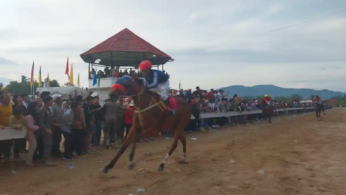 Lima Ekor Kuda Pacu Kelas Derby Berlaga di Bukit Ambacang Bukittinggi, Rebut Total Hadiah Rp75 Juta - Peserta-pacu-kuda-kelas-wisata-Derby-dengan-jarak-1700-meter-balapan-1.jpg