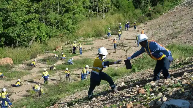 MDKA Reklamasi Lahan 26,77 Ha di 2024