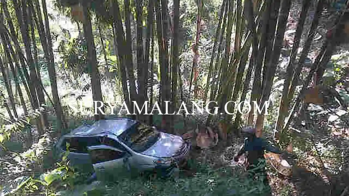 Mobil Masuk Jurang 15 Meter, 4 Penumpang Selamat Karena Tersangkut Bambu