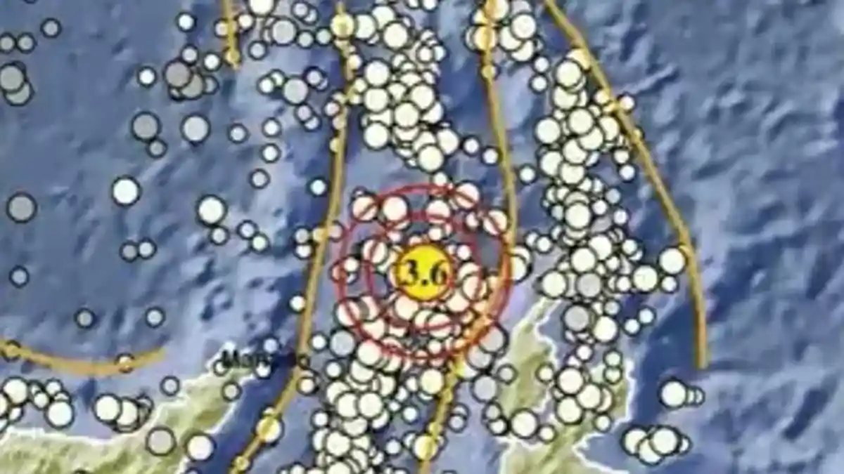 Gempa Terkini di Halmahera Barat Malut Pagi Ini Rabu 24 Juni 2026, Berikut Info BMKG - Tribunmanado.co.id