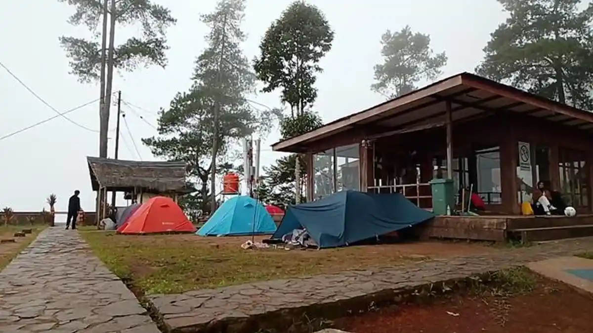 Hutan Pinus Pango-Pango Rekomendasi Wisata Asyik Sambil Berkemah di Toraja