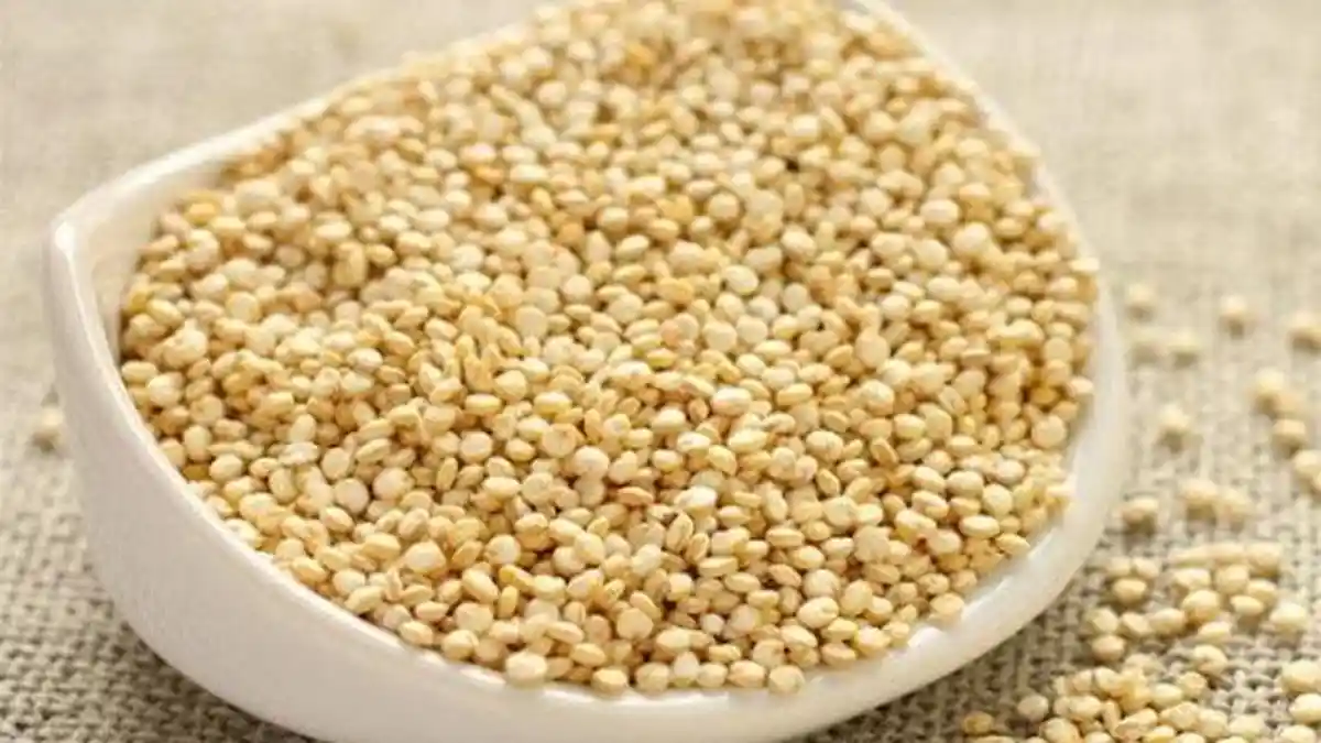 Sederet Sumber Protein dari Tumbuhan yang Baik untuk Kesehatan, Edamame hingga Oat