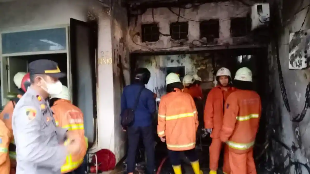 Delapan Anjing Terpanggang di Dalam Rumah yang Terbakar Akibat Korsleting Listrik