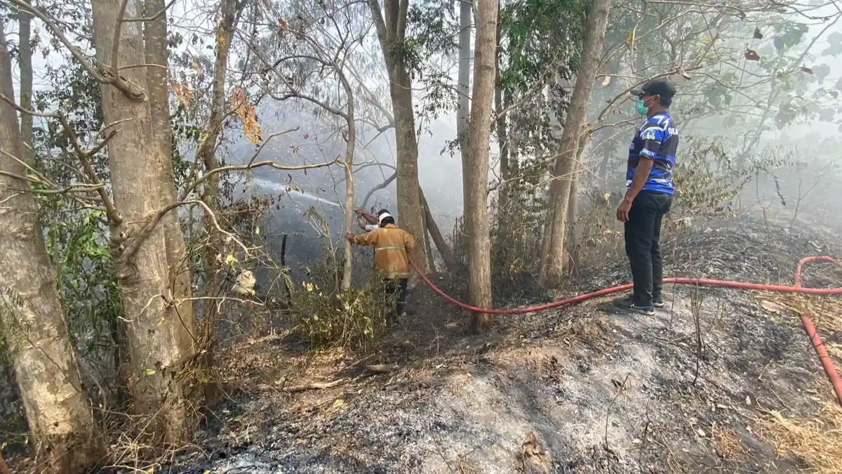 Kebakaran TPA Taman Krocok Kembali Terjadi, Pemkab Bondowoso Bangun TPA ...
