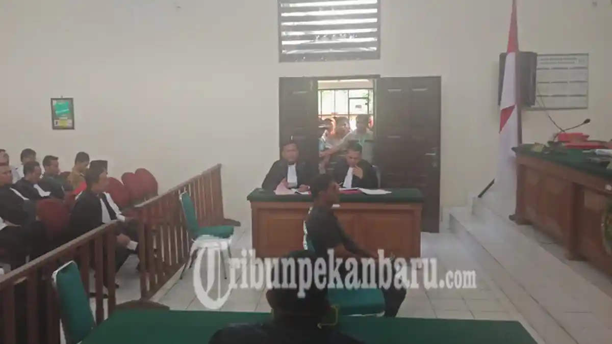 Kronologis Warga Keturunan India Sukhdev Singh Garap HPT Tesso Nilo 145 Hektar Jadi Kebun Sawit