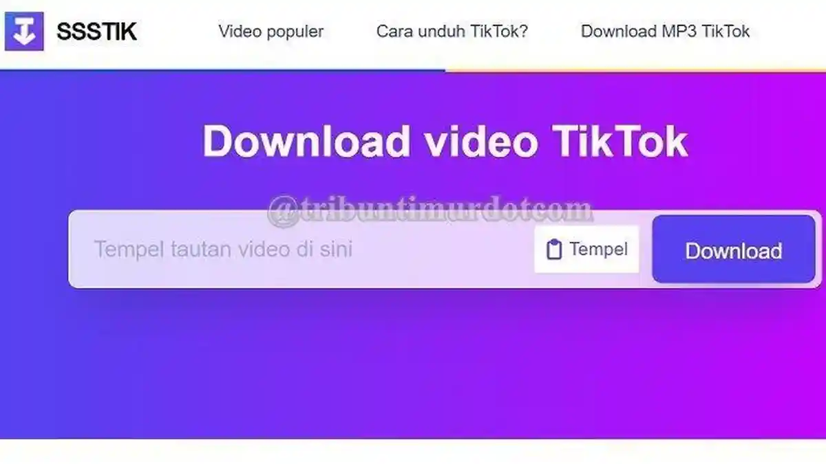 ssstik.io - Download Video TikTok Tanpa Watermark