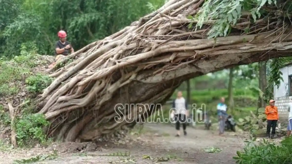 Cuaca Buruk dan Angin Kencang Diprediksi Hingga 2 Maret, Wilayah di Jatim Terdampak