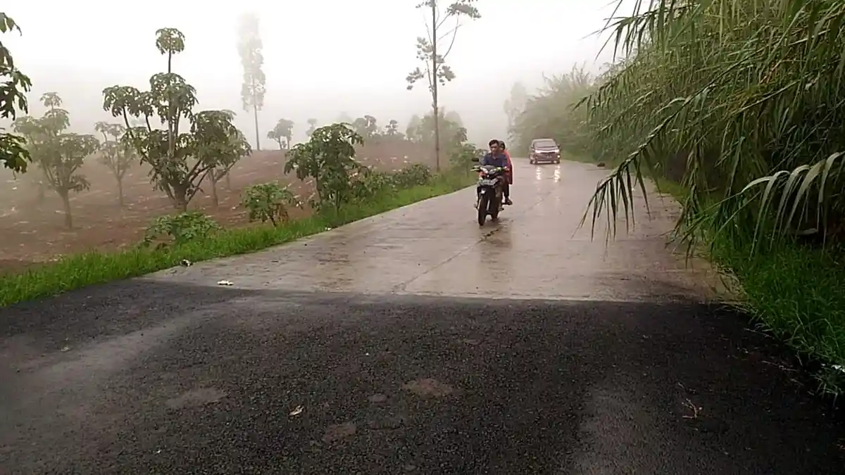 Jalur Pantura ke Dieng via Bawang Batang Sudah Mulus, Waktu Tempuh Bisa 2,5 Jam Saja