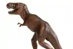 22082015_mainan_dinosaurus_20150822_220531.jpg