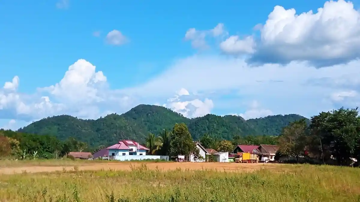 Melihat Bukit Bedil, Titik Tertinggi di OKU Timur, Sering Dijadikan Tempat Mendaki