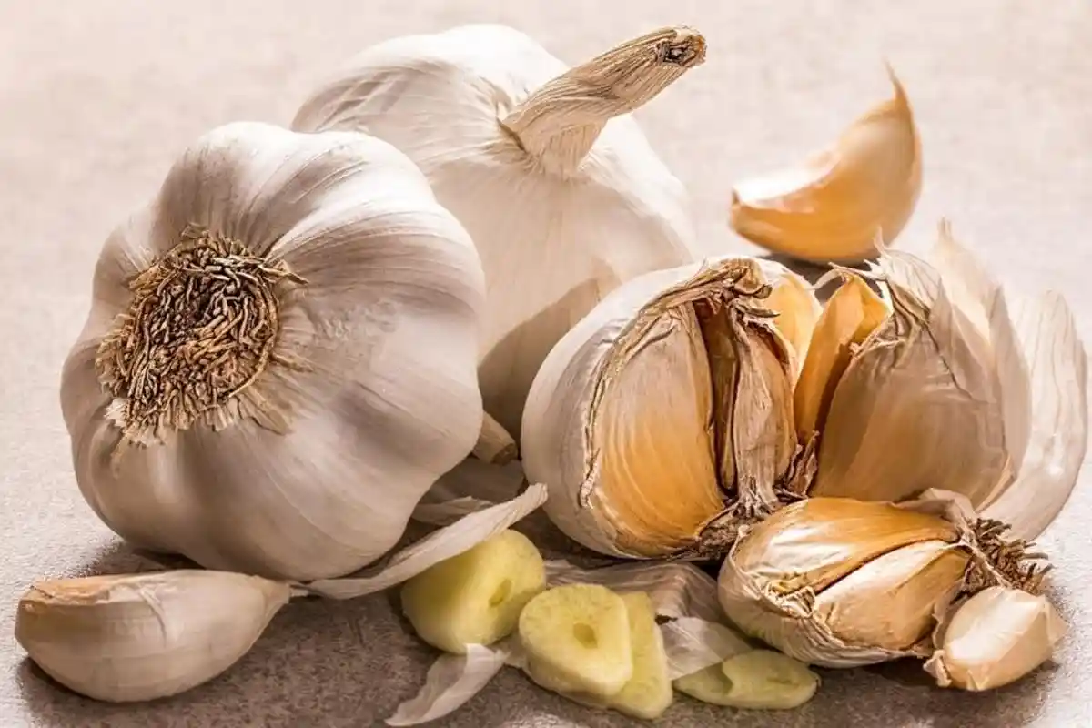 Dapat Meningkatkan Kesehatan Anda, Begini 10 Manfaat Lain Mengonsumsi Bawang Putih