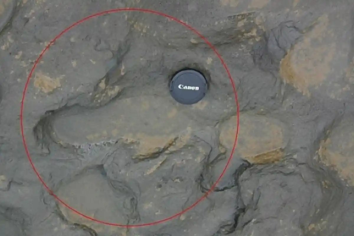 5 Rahasia Sejarah Ini Terungkap Setelah Diterjang Bencana, No 4 Kapal Hantu yang Penuh Dosa!