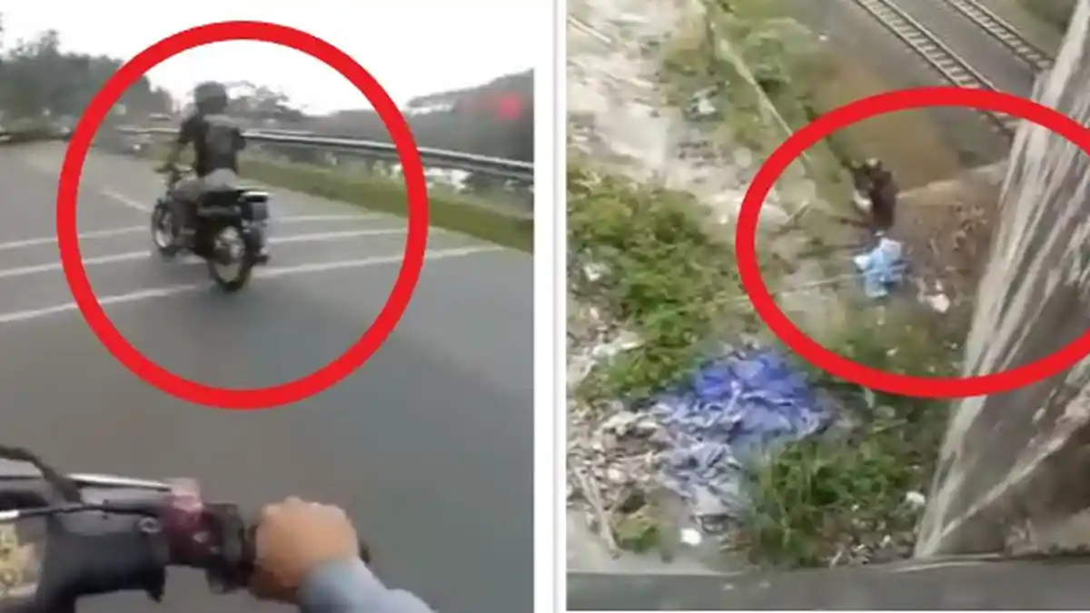 Detik-detik Pemotor Tabrak Pembatas Jalan Lalu Terjun Bebas dari Overpass: Innalilahi Udin