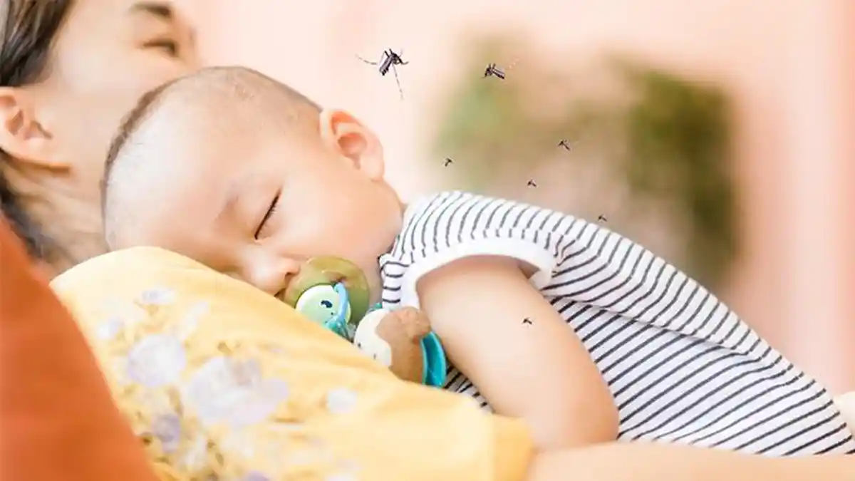 Kasus DBD Ikut Melonjak di Tengah Pandemi, Cegah dengan HIT Aerosol Pink Blossom!