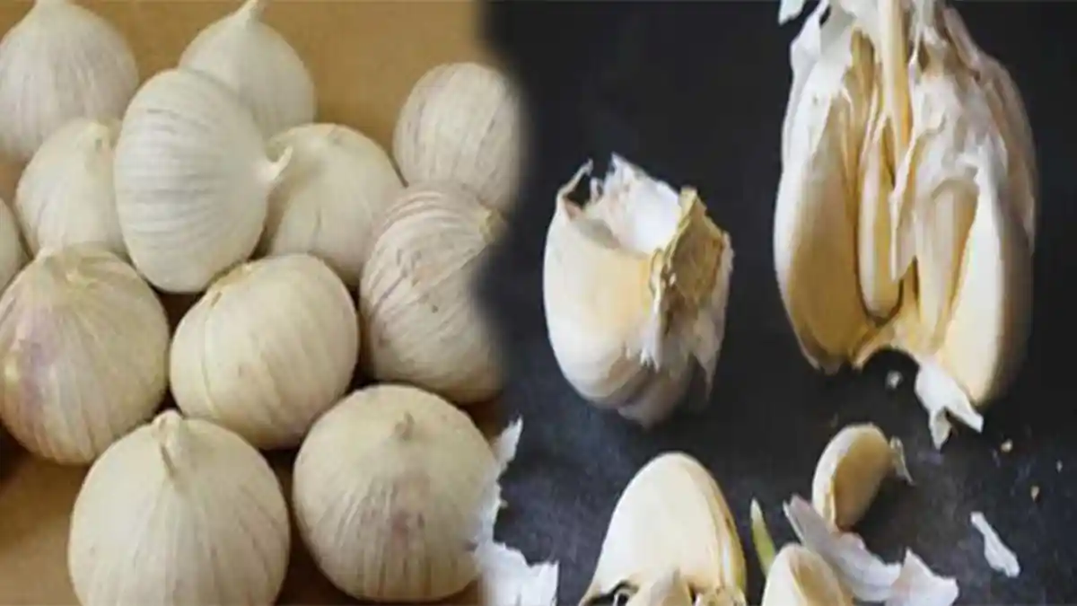 5 MANFAAT Bawang Putih Tunggal, Sembuhkan Banyak Penyakit Termasuk Diabetes dan Kolesterol