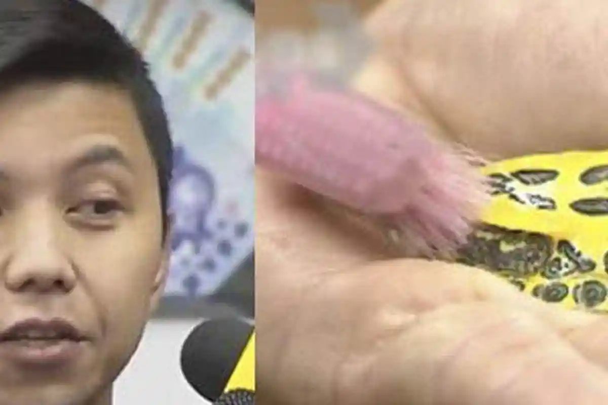 Bergaji Rp 33 Juta Per Bulan, Pembantu Rumah Tangga Ini Kerjanya Cuma Bersihkan Kura-kura