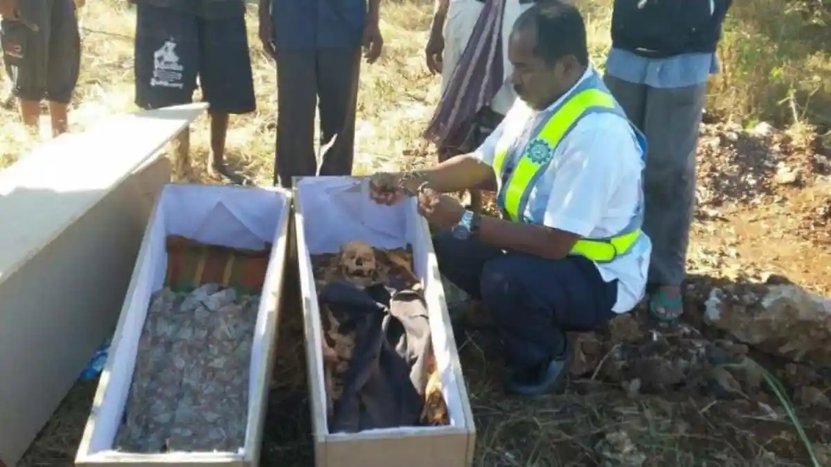 Pembongkaran Makam Keluarga Taumboy Diakhiri Ritual Adat Pemotongan Sapi