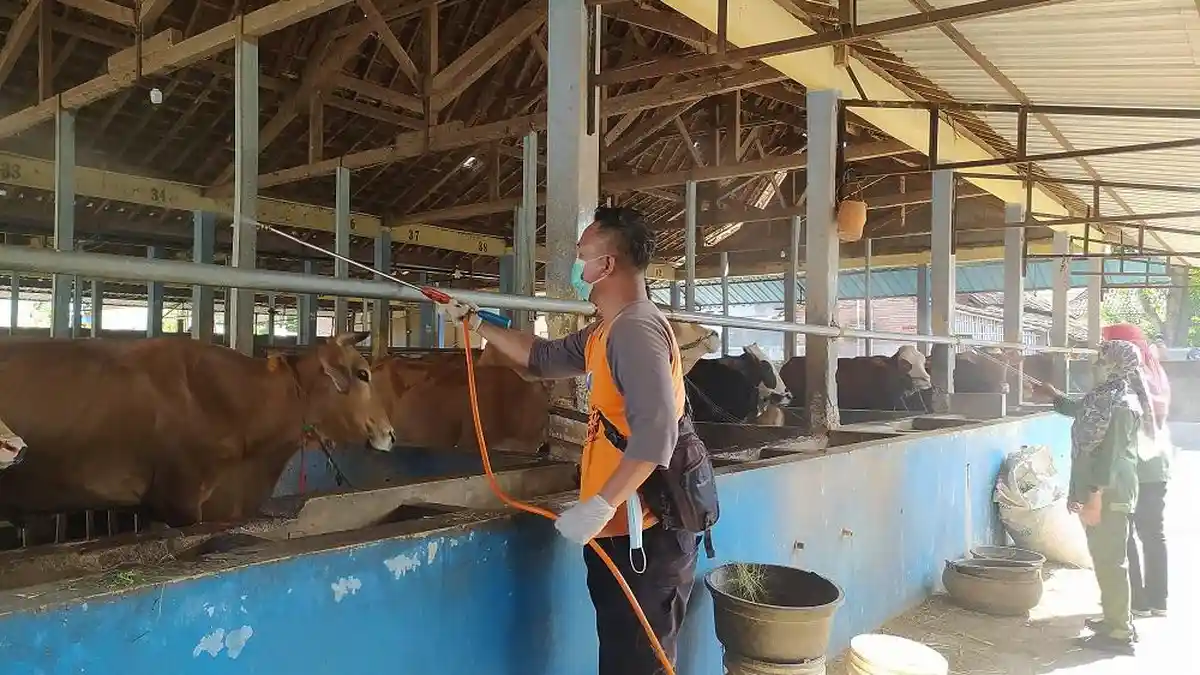 Peternak Asal Karanganyar: Permintaan Hewan Kurban Masih Tinggi Meski Harga Naik